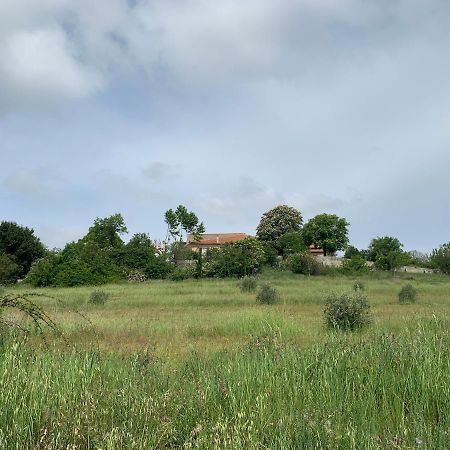 Domaine Le Commandaire Roumoules Exterior photo