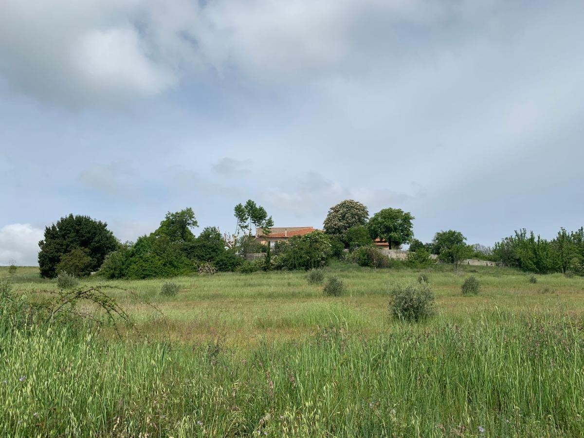Domaine Le Commandaire Roumoules Exterior photo